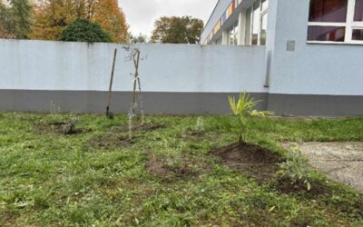 Iskolakert beszámoló