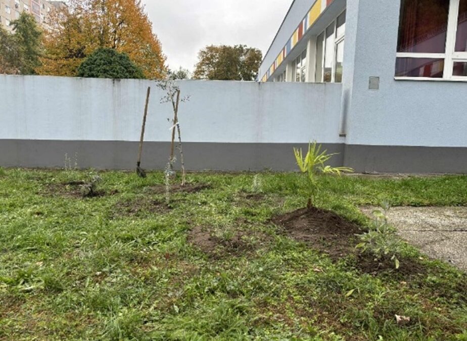 Iskolakert beszámoló